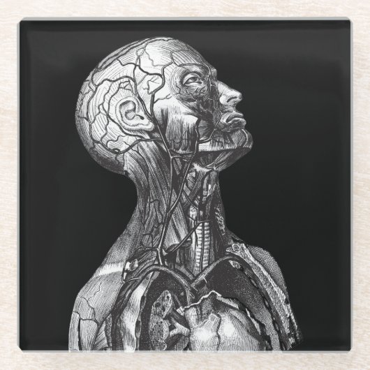 medische anatomie glazen onderzetter (Voorkant)