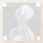  medische anatomie glazen onderzetter (Achterkant)