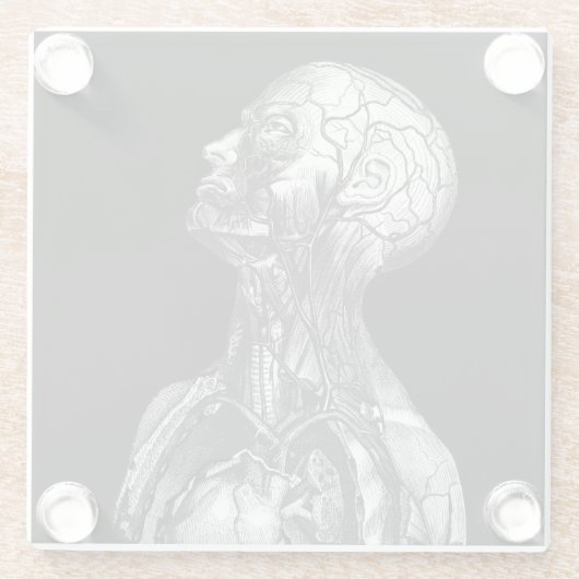  medische anatomie glazen onderzetter (Achterkant)