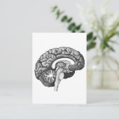 medische anatomie illustratie menselijk brein briefkaart (Staand voorkant)