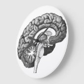  medische anatomie illustratie menselijk brein grote klok (Hoek)
