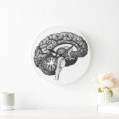  medische anatomie illustratie menselijk brein grote klok (Huis)