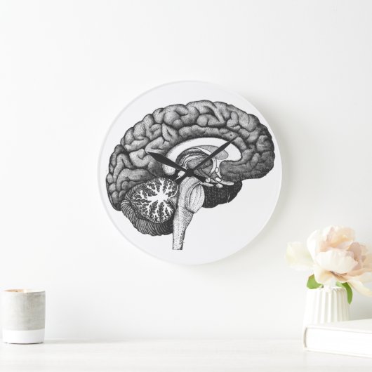 medische anatomie illustratie menselijk brein grote klok (Huis)