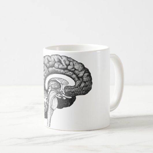 medische anatomie illustratie menselijk brein koffiemok (Voorkant rechts)