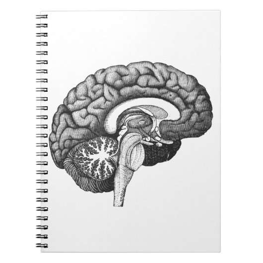  medische anatomie illustratie menselijk brein notitieboek (Voorkant)
