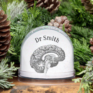  medische anatomie illustratie menselijk brein sneeuwbol