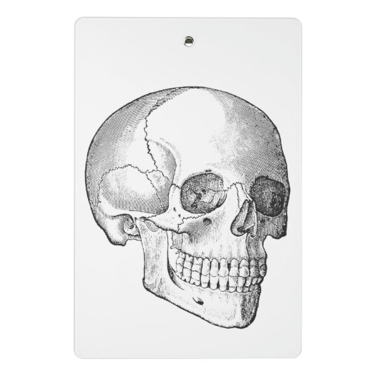 Medische anatomie schedel  arts tekening mini klembord (Achterkant)