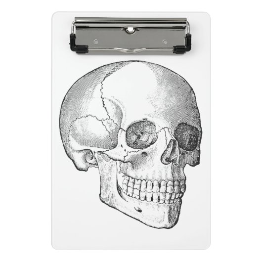 Medische anatomie schedel arts tekening mini klembord (Voorkant)