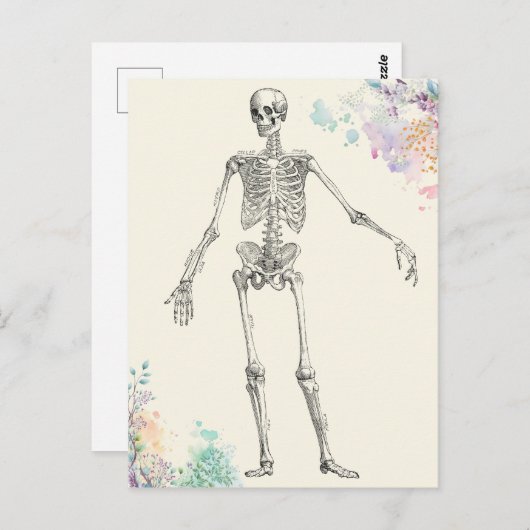  medische anatomie skelet bloemendiagram briefkaart (Voorkant / Achterkant)