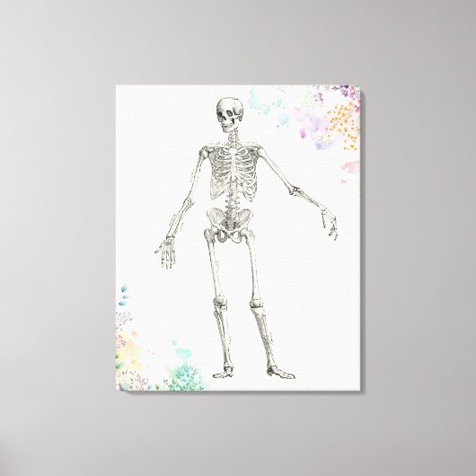 medische anatomie skelet bloemendiagram canvas afdruk (Voorkant)