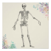  medische anatomie skelet bloemendiagram