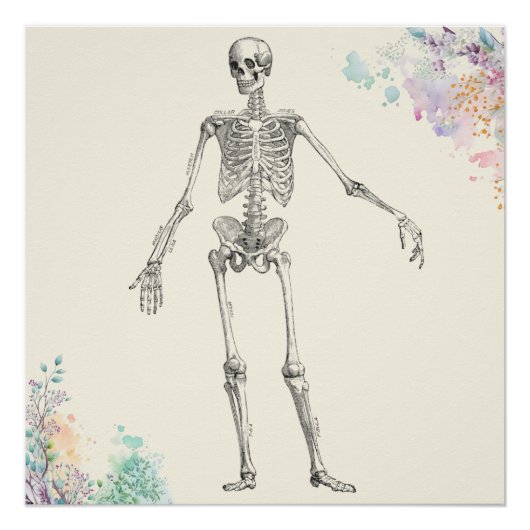  medische anatomie skelet bloemendiagram perfect poster (Voorkant)