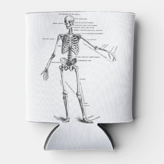 medische anatomie skelet doktersdiagram blikjeskoeler (Voorkant)