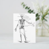 medische anatomie skelet doktersdiagram briefkaart (Staand voorkant)