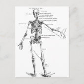  medische anatomie skelet doktersdiagram briefkaart (Voorkant)