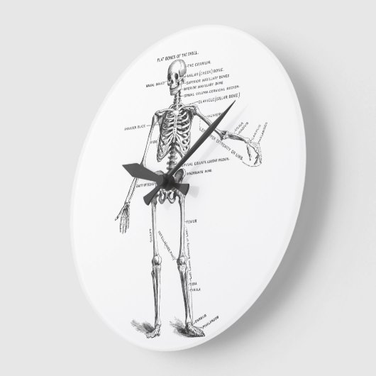  medische anatomie skelet doktersdiagram grote klok (Hoek)