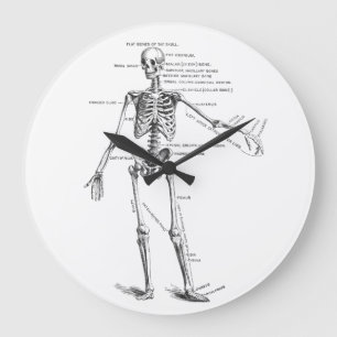 medische anatomie skelet doktersdiagram grote klok