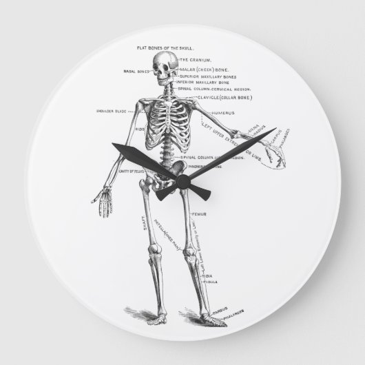 medische anatomie skelet doktersdiagram grote klok (Voorkant)