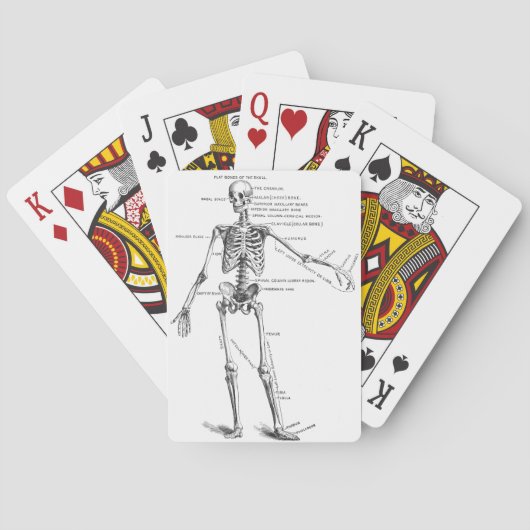 medische anatomie skelet doktersdiagram pokerkaarten (Achterkant)