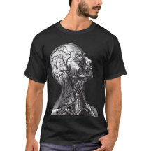 Medische anatomische hoofdhalshalshalszijde Vintag