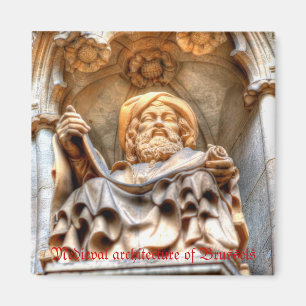 Medische architectuur van de Grote Plaats in Bruss Magneet