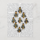 Medische bijen 2 briefkaart (Voorkant)