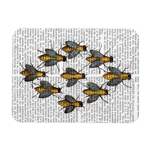 Medische bijen 2 magneet (Horizontaal)