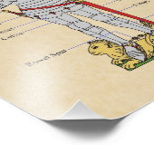 Medische Bord Armor Circa 1430 Foto Afdruk (Hoek)