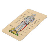 Medische Bord Armor Circa 1430 Magneet (Linkerzijde)