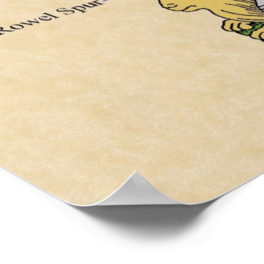 Medische Bord Armor Circa 1430 Poster (Hoek)