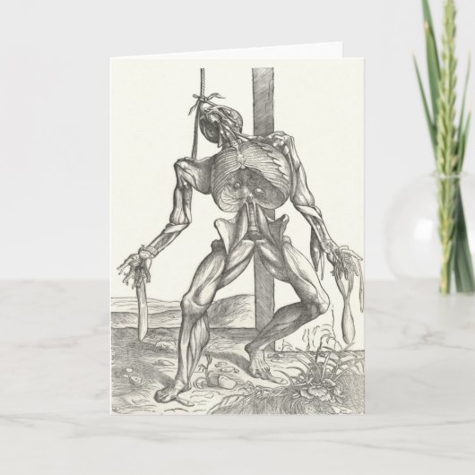 Medische de Anatomie van het Lijk van het Aas van Kaart (Voorkant)