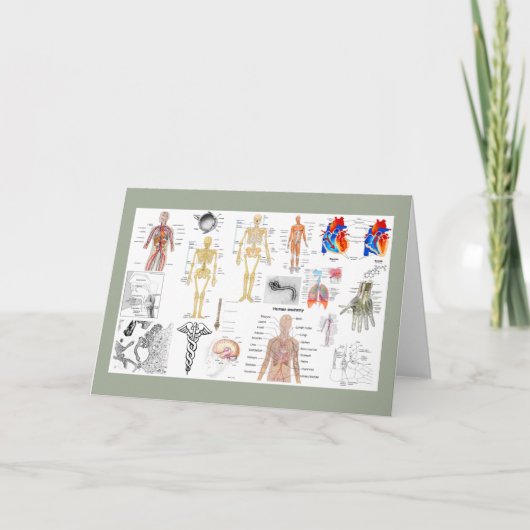 Medische grafieken in kleur kaart (Voorkant)