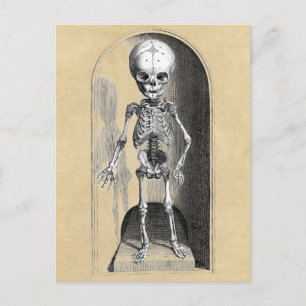 Medische illustratie Bidloo (voorzijde) Briefkaart