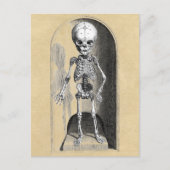 Medische illustratie Bidloo (voorzijde) Briefkaart (Voorkant)