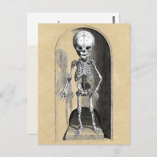 Medische illustratie Bidloo (voorzijde) Briefkaart (Voorkant / Achterkant)