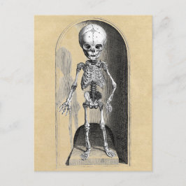 Medische illustratie Bidloo (voorzijde) Briefkaart