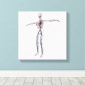 Medische illustratie: Circulatoir Vrouw Systeem 2 Canvas Afdruk (Insitu (Houten vloer))