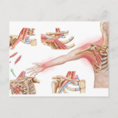 Medische illustratie met informatie over de thorac briefkaart (Voorkant)