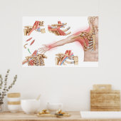 Medische illustratie met informatie over de thorac poster (Keuken)