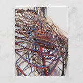 Medische illustratie van de borstslagaders van het briefkaart (Voorkant)