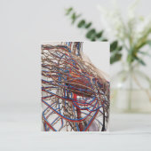 Medische illustratie van de borstslagaders van het briefkaart (Staand voorkant)