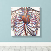 Medische illustratie van de borstslagaders van het canvas afdruk (Insitu (Houten vloer))