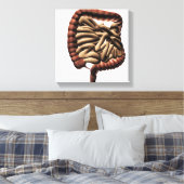 Medische illustratie van de grote darmen canvas afdruk (Insitu (Slaapkamer))
