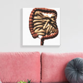 Medische illustratie van de grote darmen canvas afdruk (Insitu (Woonkamer))
