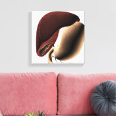 Medische illustratie van de lever en de maag canvas afdruk (Insitu (Woonkamer))