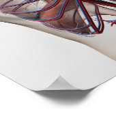 Medische illustratie van de mannelijke borstkas poster (Hoek)