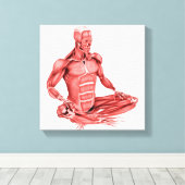 Medische illustratie van de mannelijke spieren canvas afdruk (Insitu (Houten vloer))