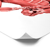 Medische illustratie van de mannelijke spieren poster (Hoek)