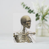 Medische illustratie van de schedel van een vrouw  briefkaart (Staand voorkant)