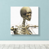 Medische illustratie van de schedel van een vrouw canvas afdruk (Insitu (Houten vloer))